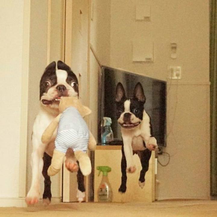 0708014a df10 4762 a2b5 5e7537fe3458