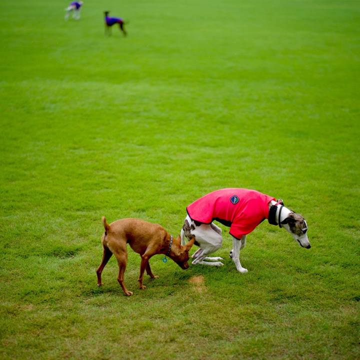 07081252 3bb6 4cf1 bed1 485036e22791