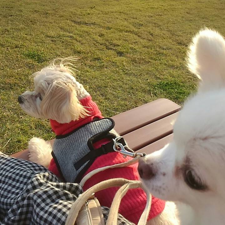 07088f79 1514 4688 baeb 339765b32d3a