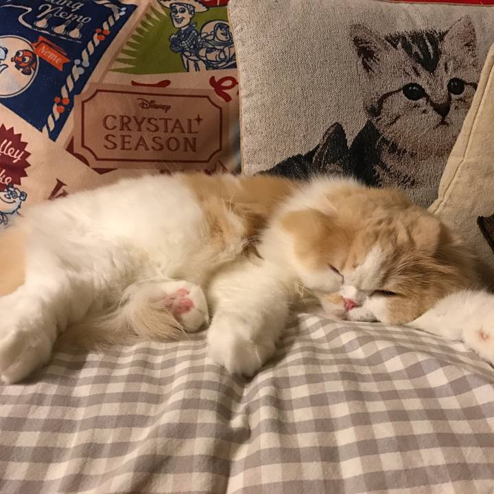 07092b0e 9b10 4628 9433 48dab86f519b