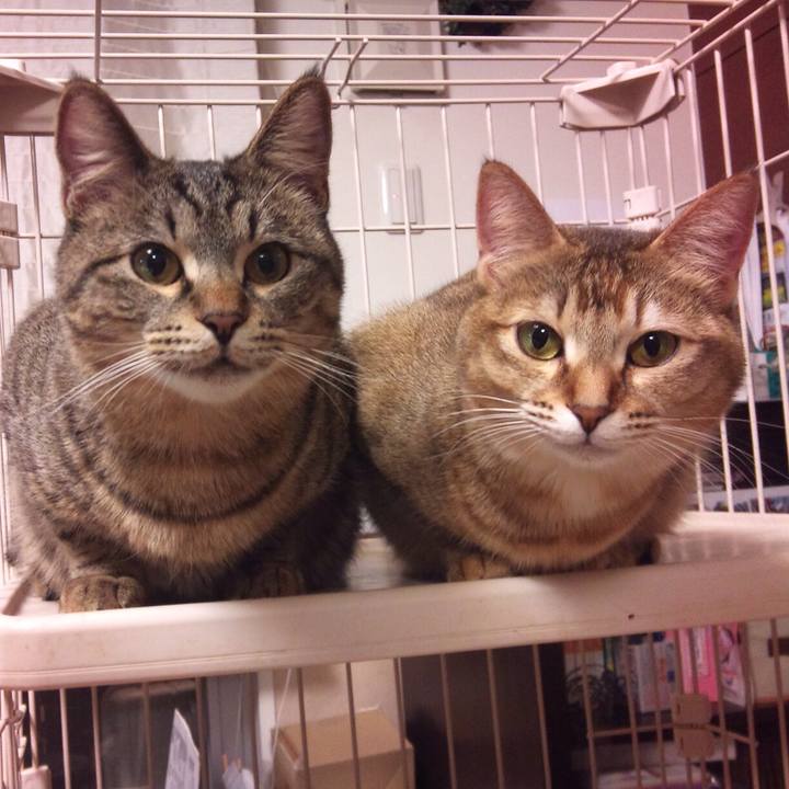 0709be95 8e01 4c63 ae94 228d86747f01