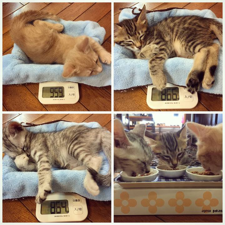 0709d4ff 99f5 4900 9af3 56b30aa73437