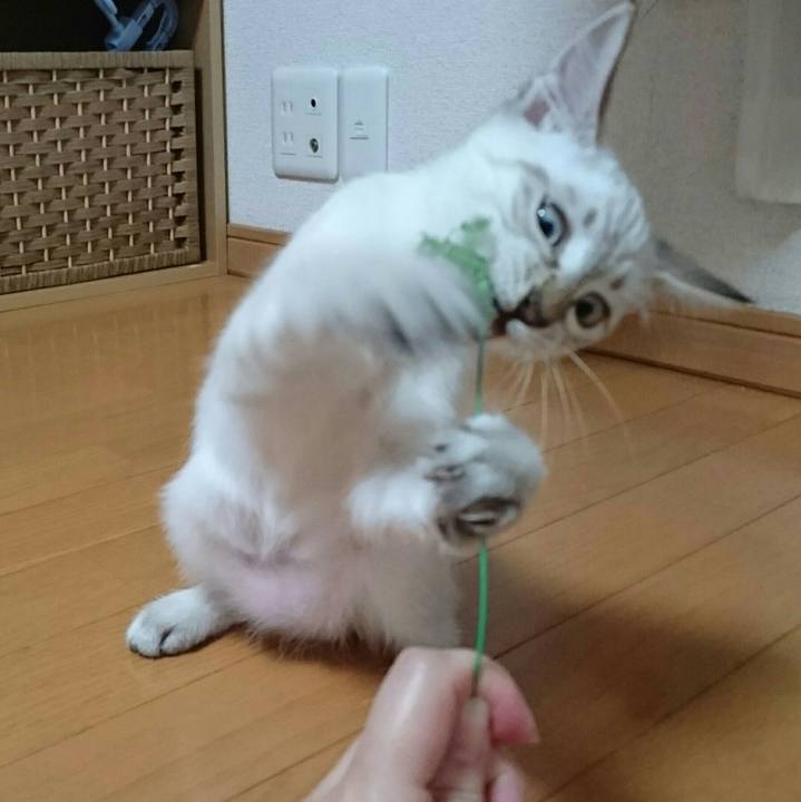 070adef4 0ddd 49d1 982e 81f88a1cfc98