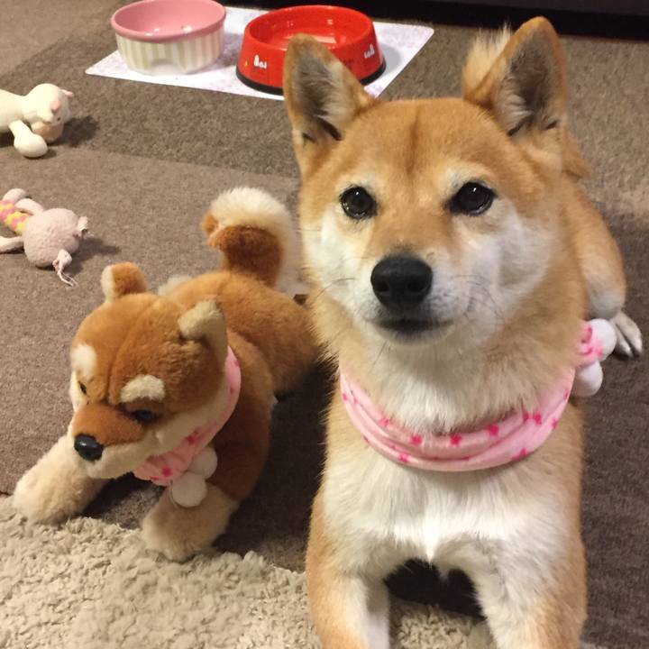 070b54aa 98b3 41e6 98e3 9360966228d4