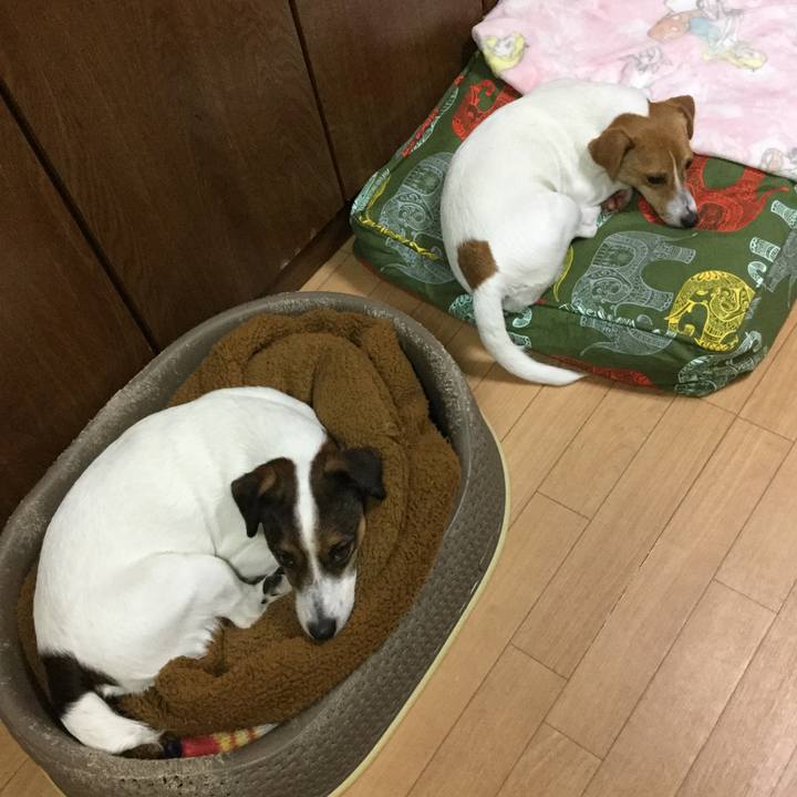 070b6138 7e4b 4c7d 841f 3594c755feee