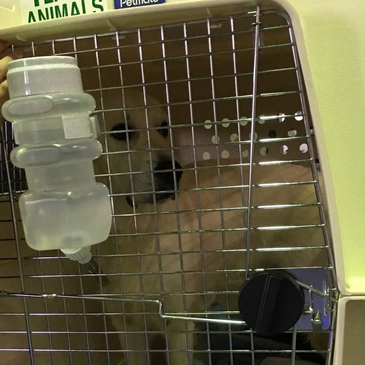 070bbfcc 6c49 44e0 bf3d 6a79312efbc7