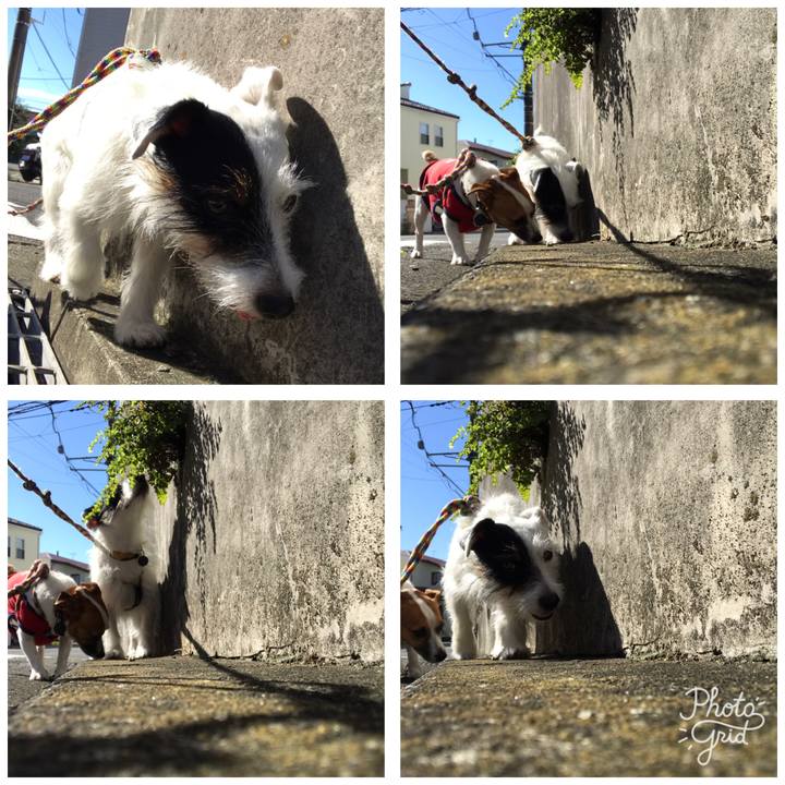 070c4b99 284a 45a4 a0ef 952957e8c839