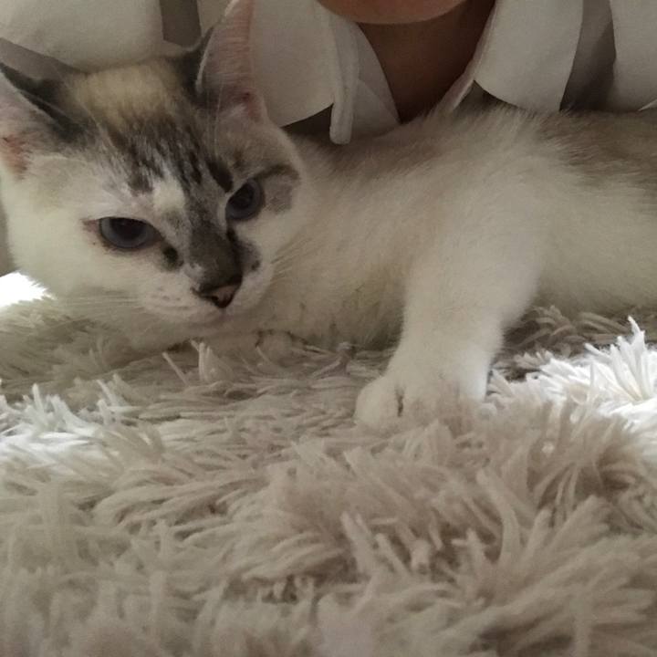 070ce41c 3019 4c2e 9f09 d5141a8d3341