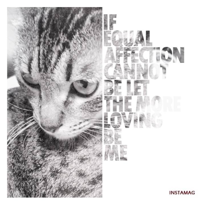 070d0fd3 fb9b 416a bbec 402e23bf3097