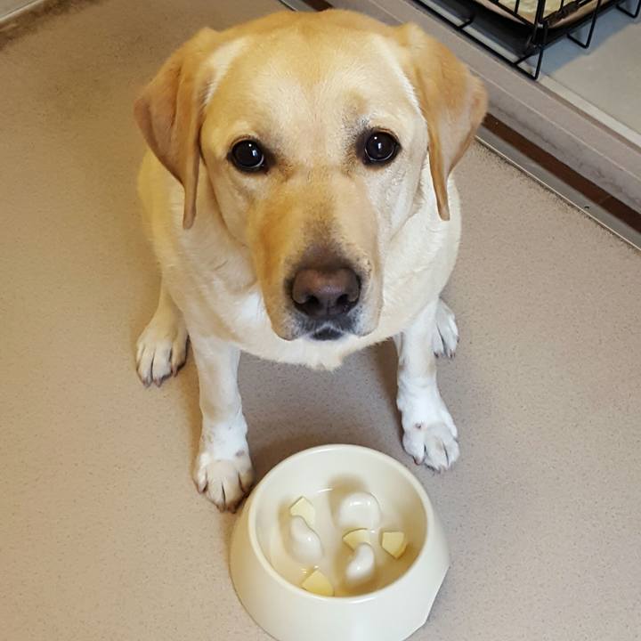 070da104 215b 4c37 ac72 b398840e0b59