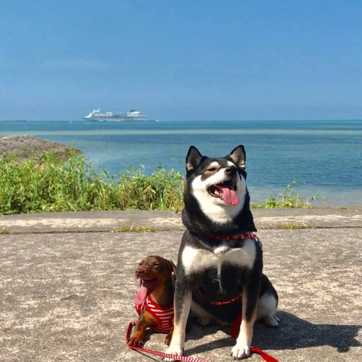 070dd91b 2eec 439d 9aff 41d506b52f66