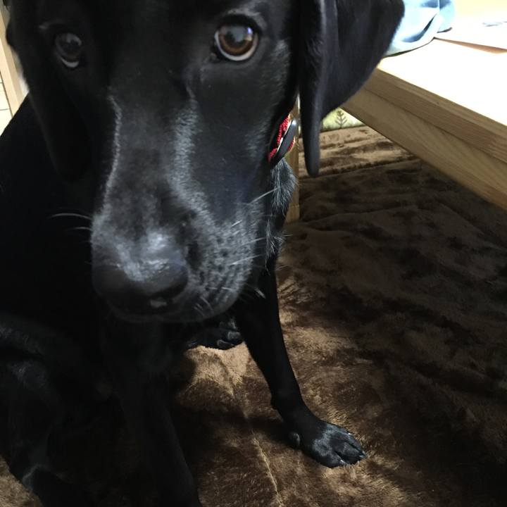 070e5746 7f83 4f39 a7b3 526495e20cd0