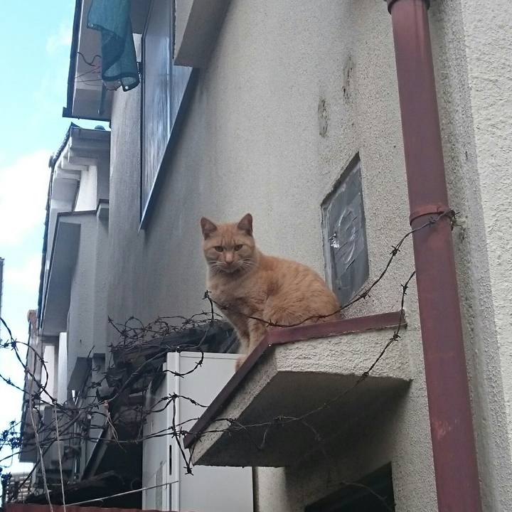 070f626e e355 4e2f a2d7 52c797a8519a