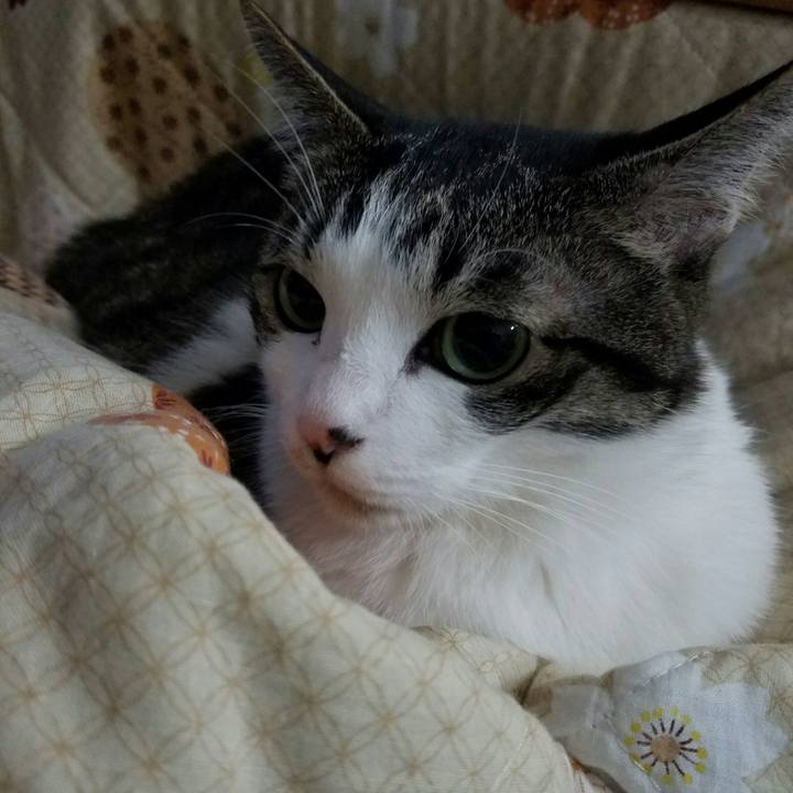 07100a38 0363 435d a6de b47eaf7721f5