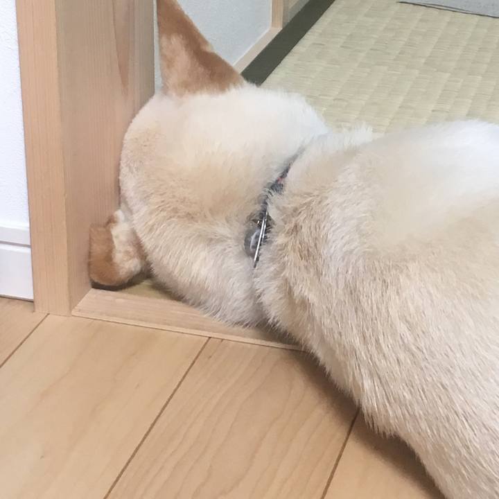 0710211a 86c4 4851 8a5b ad7c33fe2848