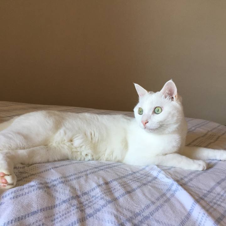 07110ec6 41cc 495d a2fe 7f93c1644f1f