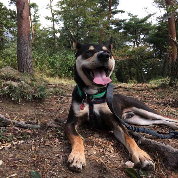 071117c2 a32b 45e8 891d fed743f93cbb