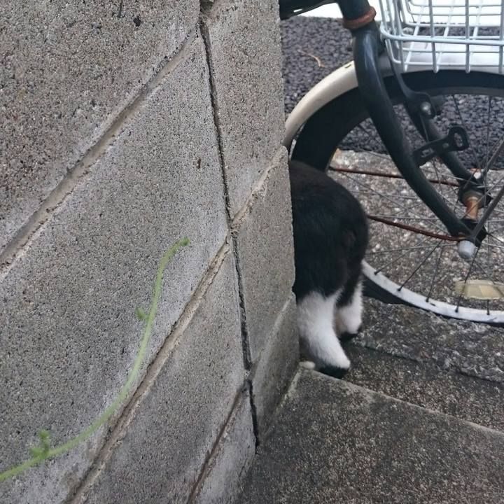 071185f9 ed08 4e87 bb9e 7de4ee52891b