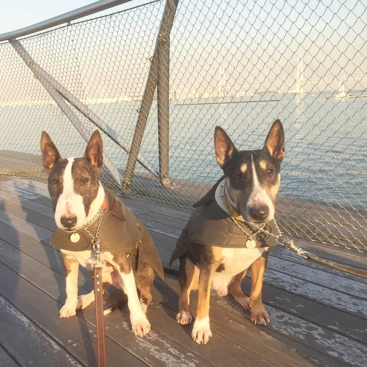 07119232 1bf3 4a6b 8a30 5f427530d756