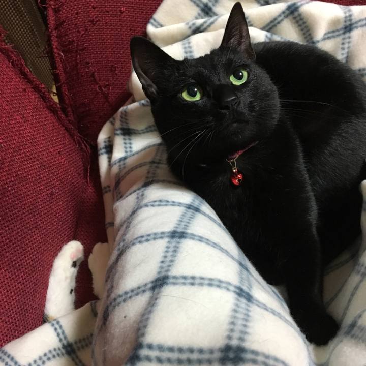 0711df75 05a4 46a1 9bee cda5b6104900