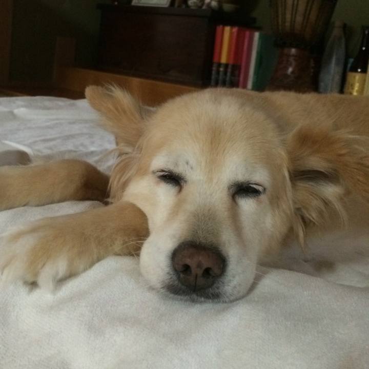 07143fab 7de8 4809 b690 6944a3cabe58