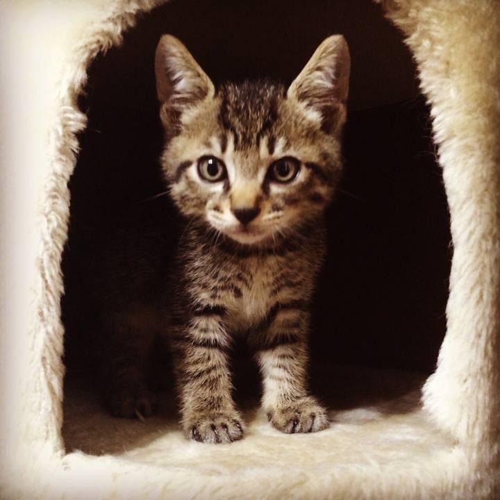 07146aa9 80b6 4364 b1f0 a0f922795793