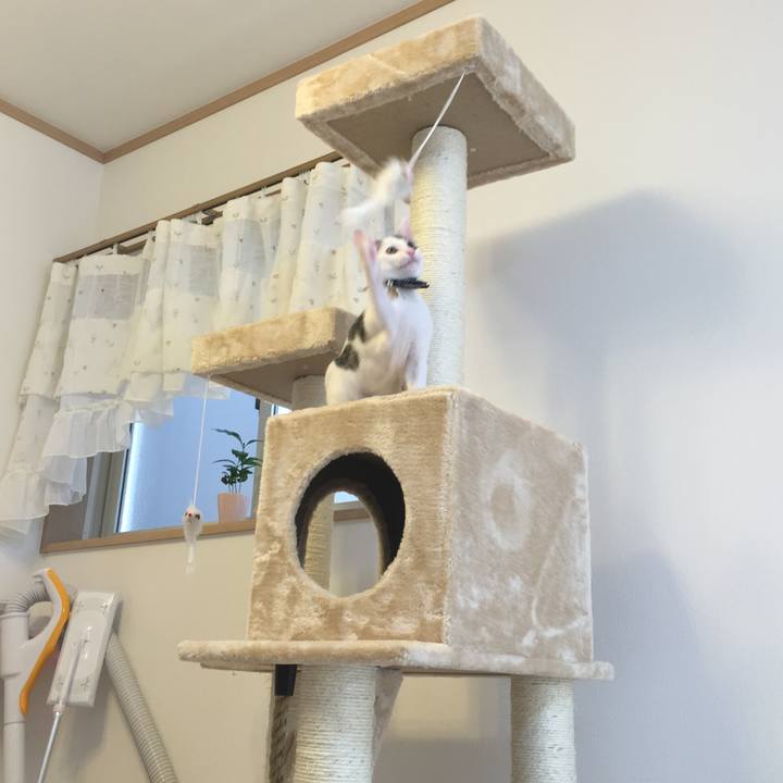 0714ae9c 2214 4868 a879 691fe591d38c