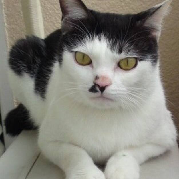 07156b70 5118 4138 910d c92f99f6cbe7