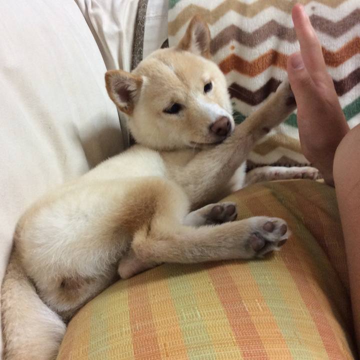 07158097 6687 4804 9783 a40e7cb84709