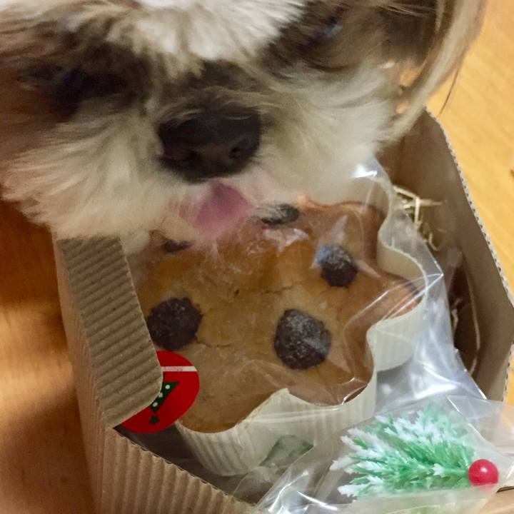 0715b2e0 0f9a 45c3 8b41 e2a99ffeaf9d