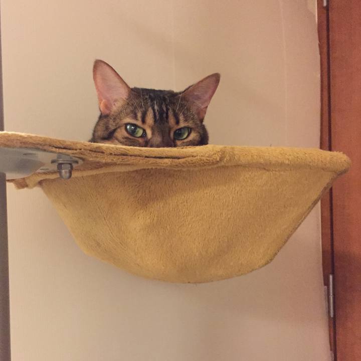 0715c949 049a 4c5d 855a 2cbd4f66ea56