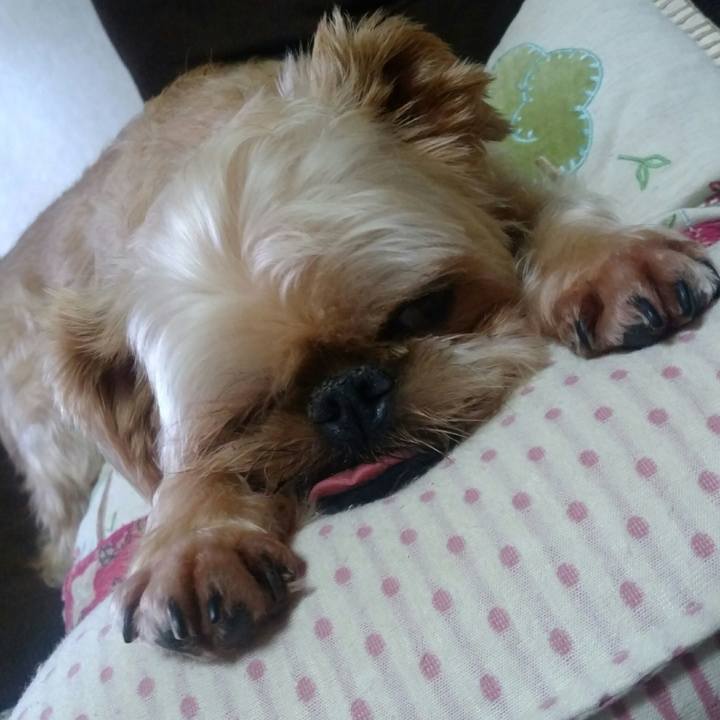 071618c8 4dbc 4694 8be0 3887d8d69873