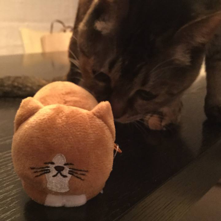 07163b07 f535 4b4e 8694 03a55cdab772