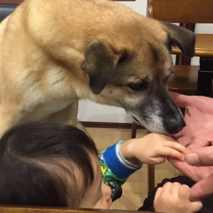 07170a2c eaae 4dc9 82c6 39dabfcce9dc