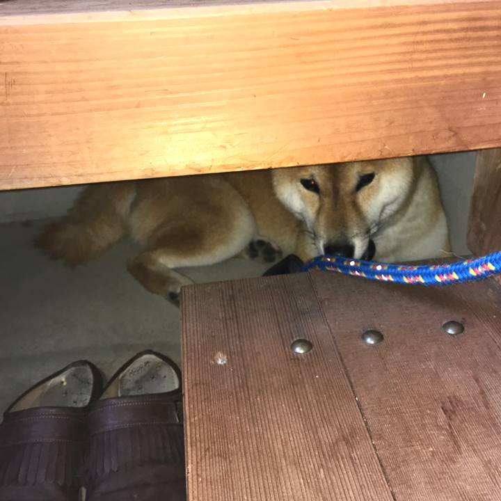 0717fed5 7347 4d6e b76f 6596acec7816