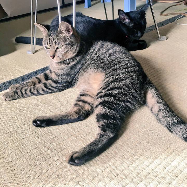 071830b0 290b 4657 9448 faa4f9e8335c