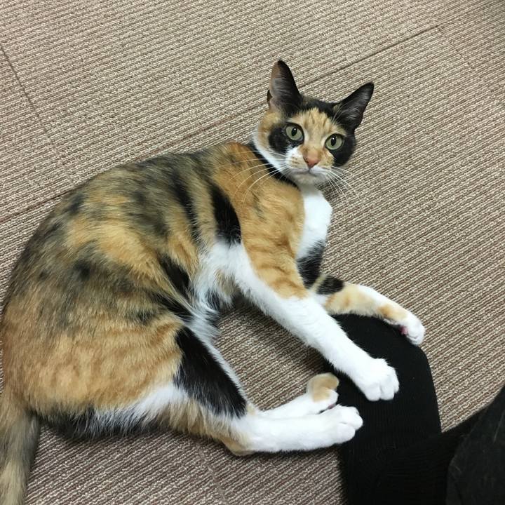 07183214 d501 47f8 b0b1 e941c331aa93