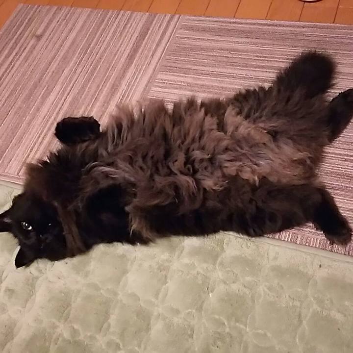 07183b50 c563 446c 8a70 8c2cbd094362