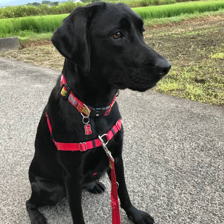 07185c09 1851 4798 85dc cdf06eb944bb