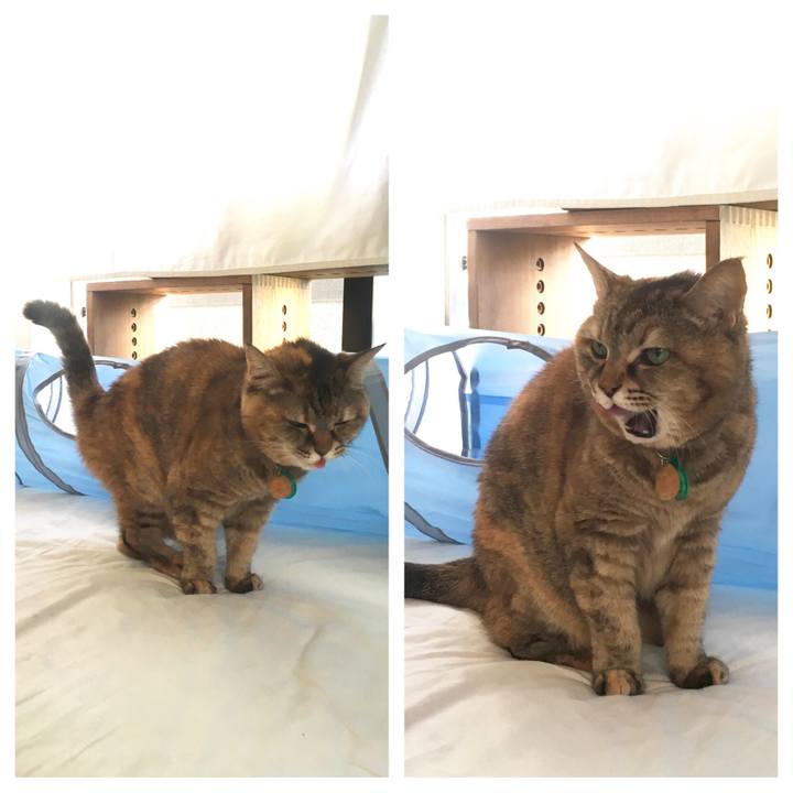 0718d845 0f9c 4e06 92ac 82761b37bdef