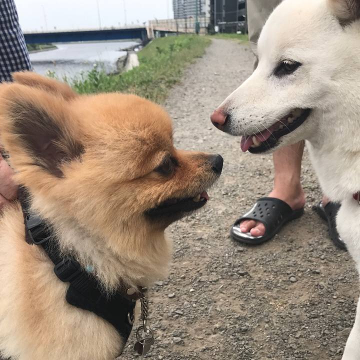 0718f040 37b9 4c7b b2f7 d93818968835