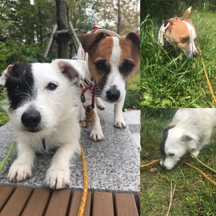 071a10ca f42e 4dad b1e0 7f7350da24f9