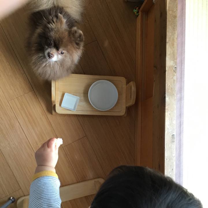 071a3b03 c164 4e15 acdd 6a17f87d63eb