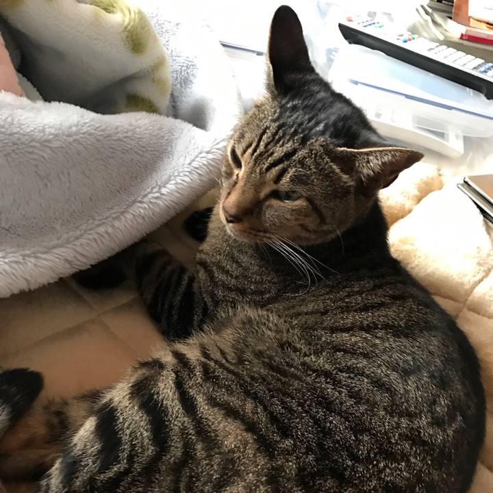 071b1036 0607 490c 9ad9 e75c4d67e276