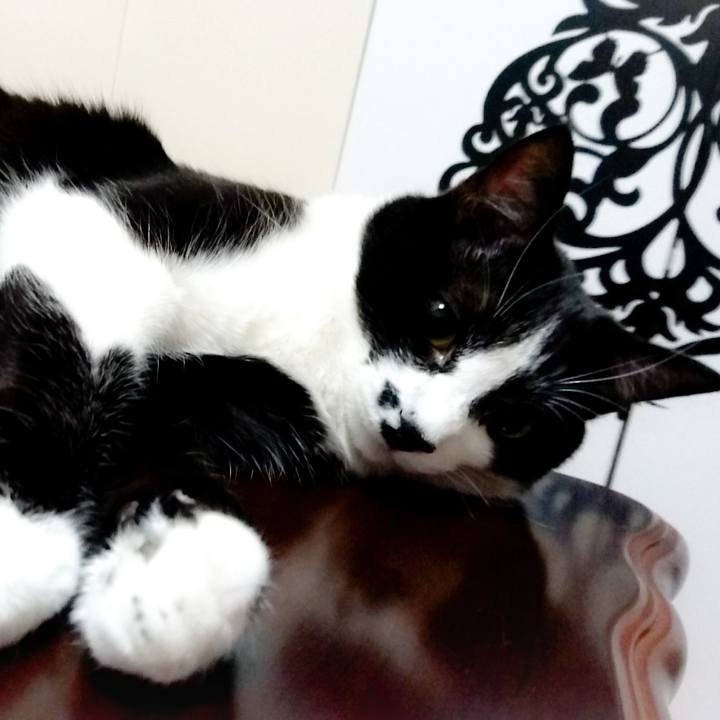 071b73f6 1517 4b94 97d6 2da7cb31c64b