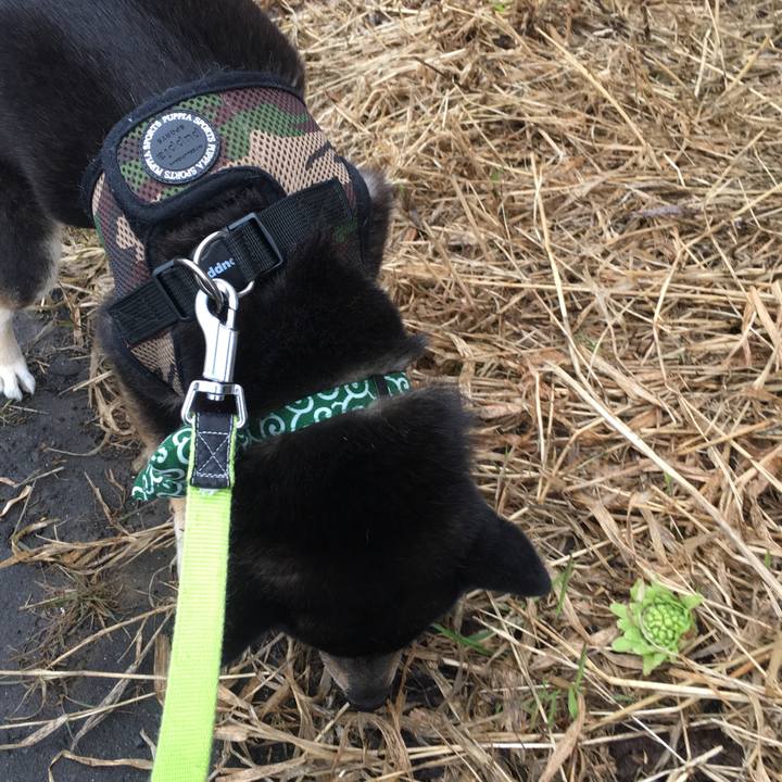 071c33b5 84f1 4982 a9e5 e3ca54d8071d