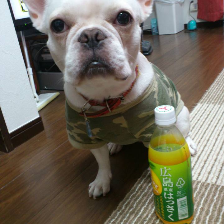 071ca584 ff0d 4265 8182 25defd1209cf