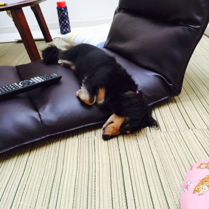 071d0a8d deb2 46f4 81cb e3f5e4a2f9e3