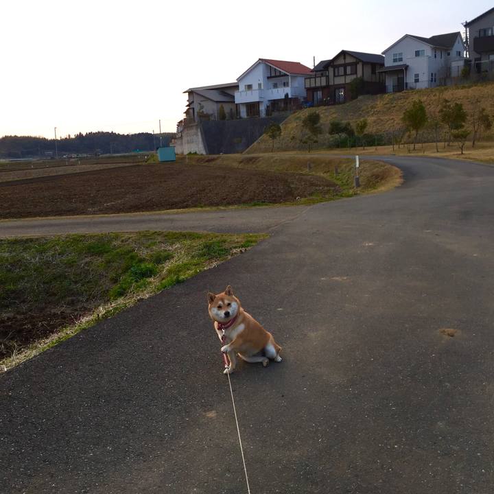 071d7998 56d1 4157 a662 803a1544fef0