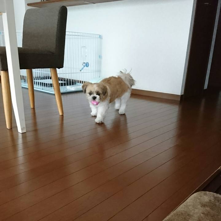 071daedc 778c 43b4 a710 53d4af4f24f5